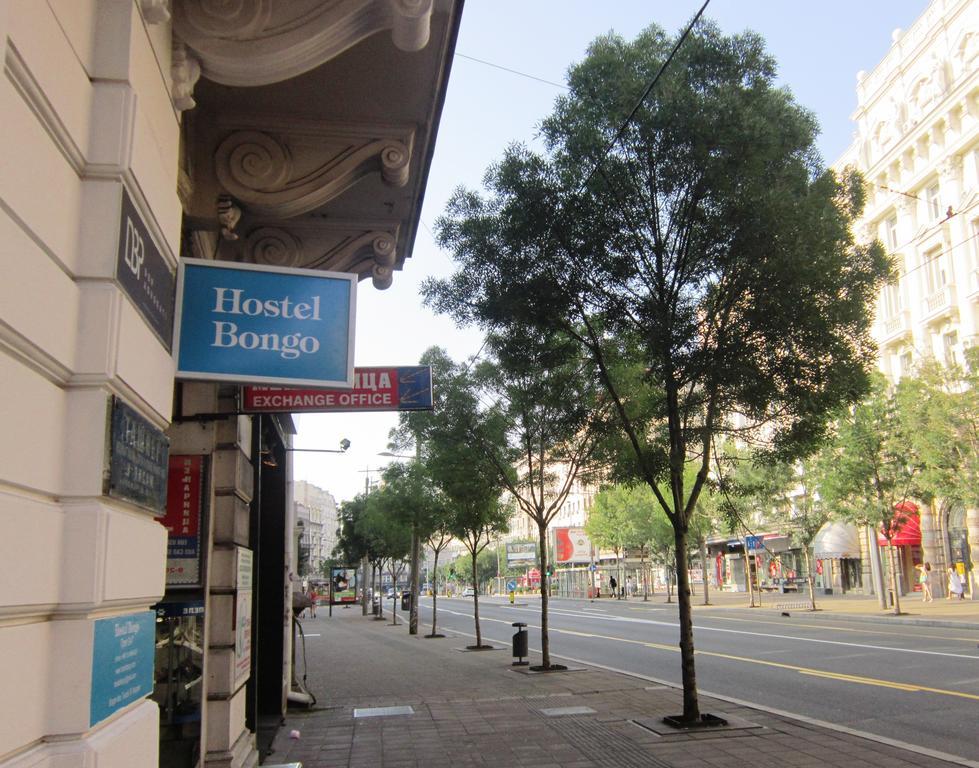 Hostel Bongo Βελιγράδι Εξωτερικό φωτογραφία